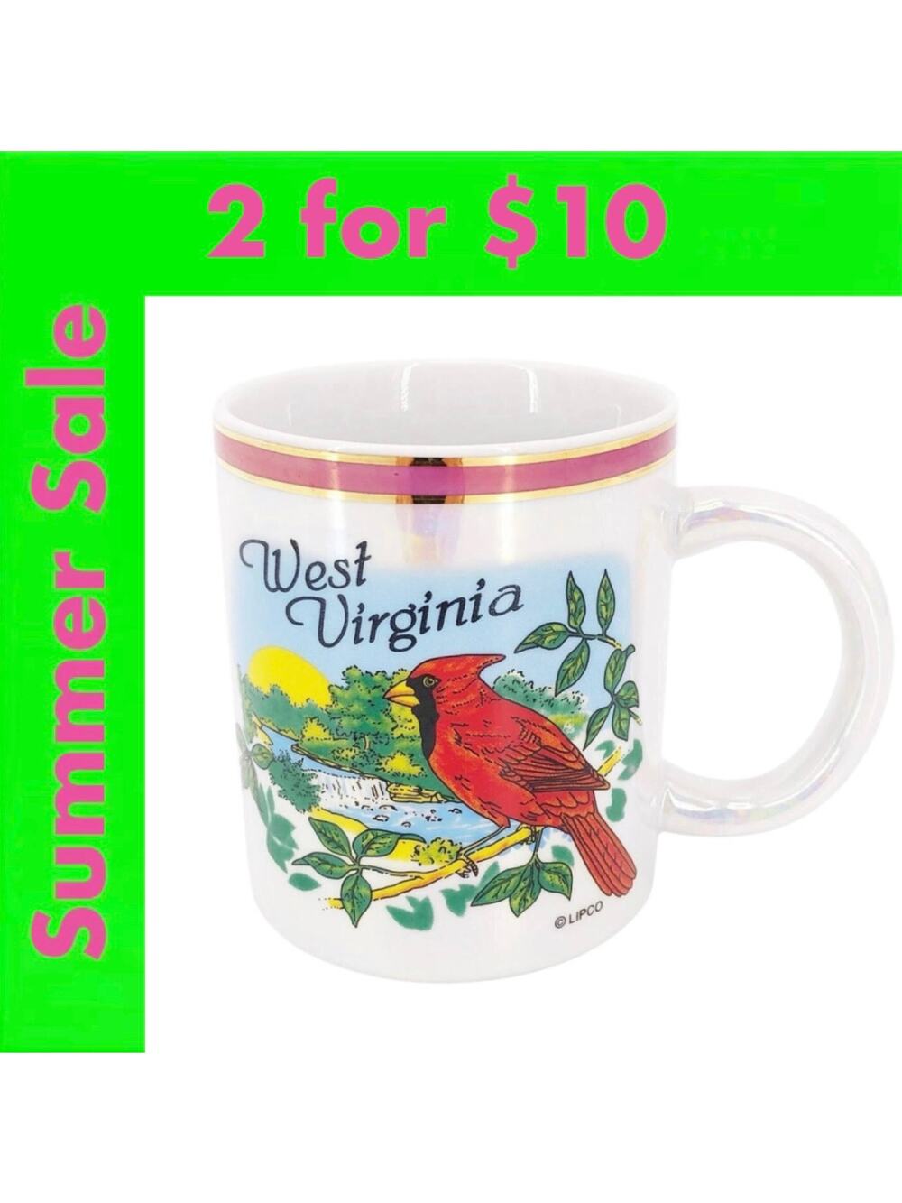 80s West Virginia souvenir coffee mug 1980s vintage SALE
